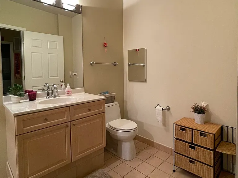 330 S Michigan Ave #1602 — Photo 10
