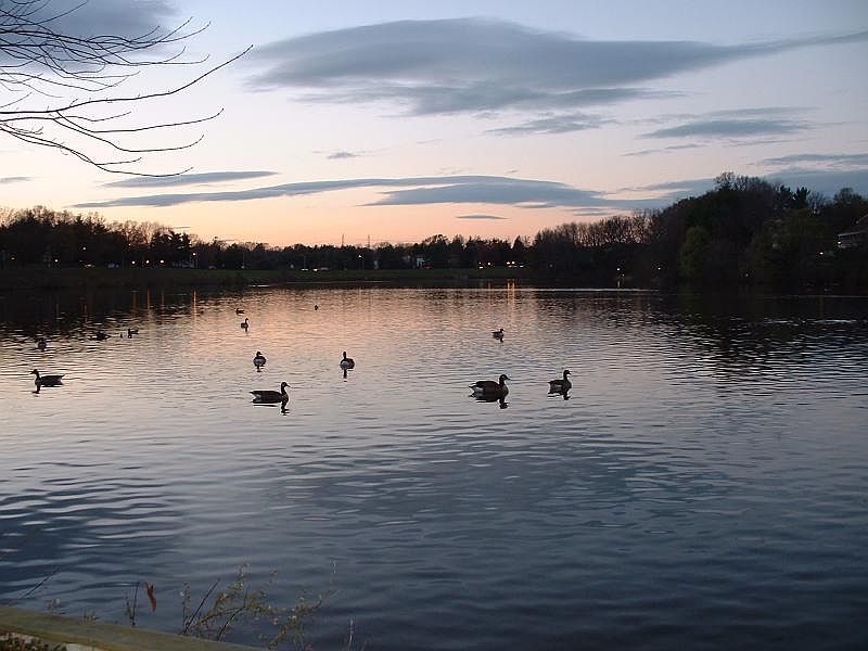 Lake a 3 minute walk from townhouse