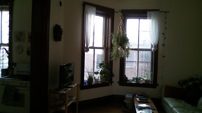 2nd image of 710 N Bishop St APT 2R