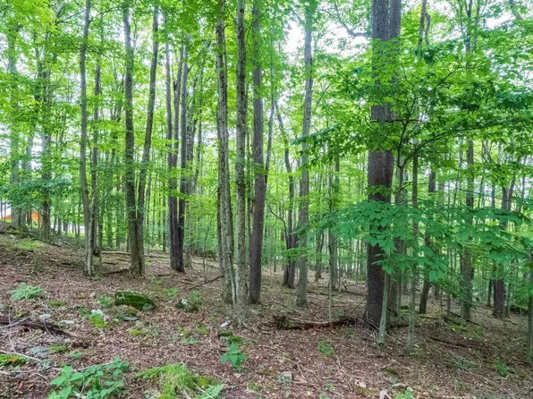 126 Mountainside Rd, Davis, WV 26260