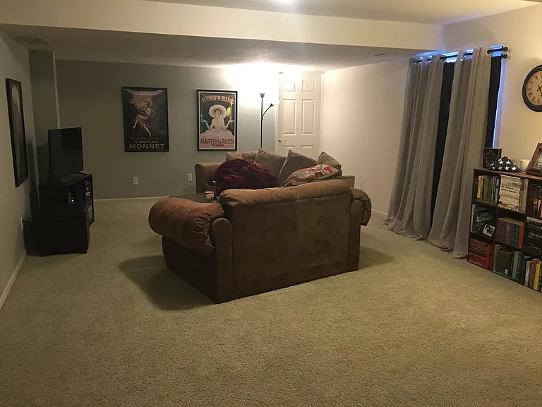 Large basement family room