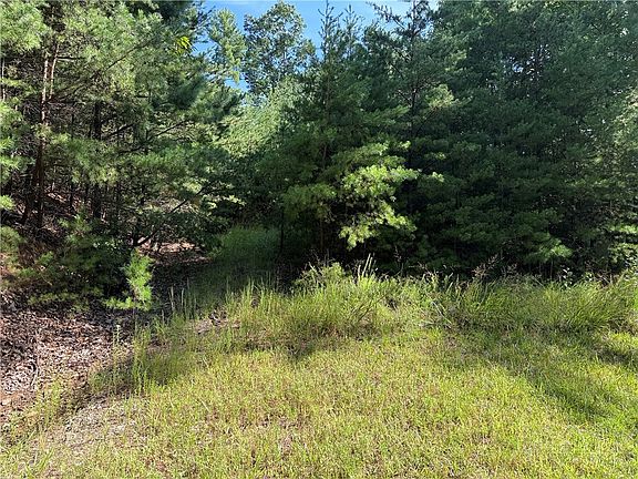 3rd image of Lot 24 Wolf Pen Road