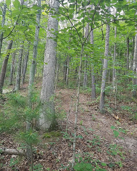 1st image of 783 Stuples Hollow Ln