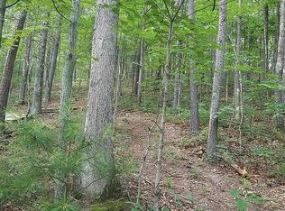 783 Stuples Hollow Ln, Craigsville, VA 24430