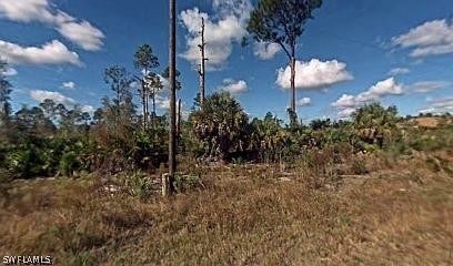 1st image of 4602 Flora Ave N