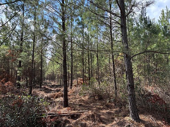 4th image of Red Oak Rd