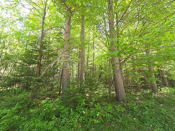 3rd image of E Solberg Lake Rd Lot 6