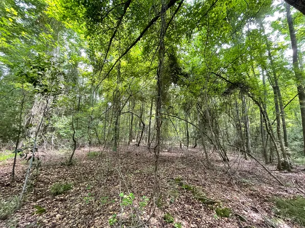 1048 Quattlebaum Road, Batesburg-Leesville, SC
