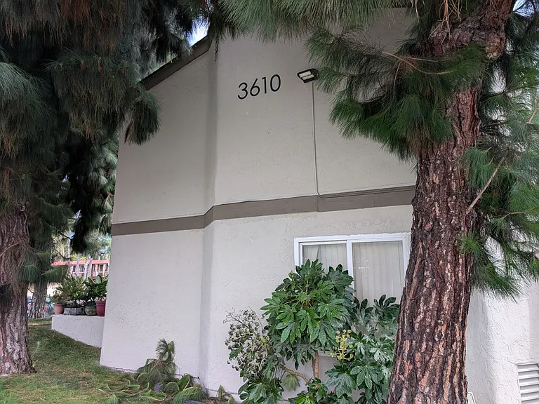 3610 Pio Pico Dr #5 — Photo 11