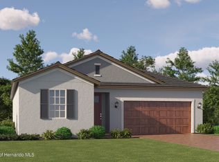 9638 Minnow Ray Dr, Land O Lakes, FL 34638
