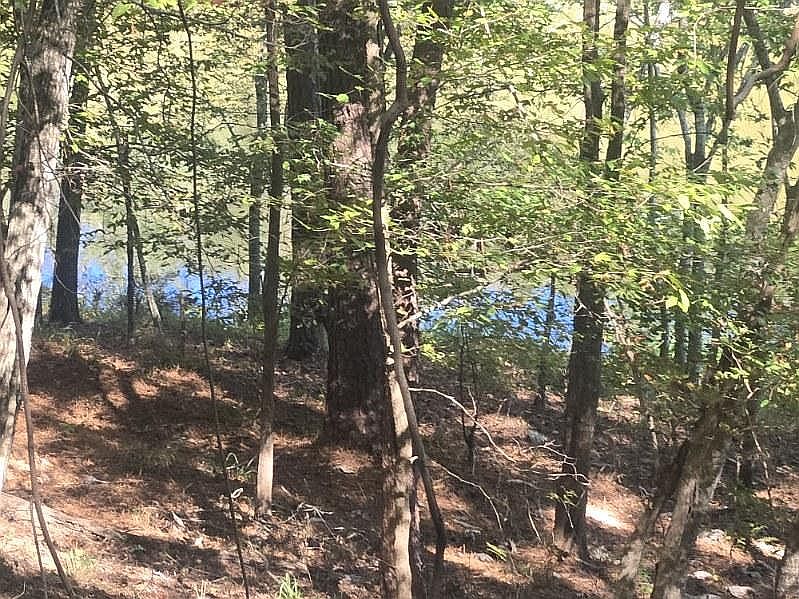 1st image of 0 Bull Slough Rd Lot 8