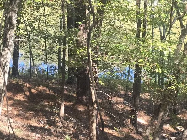 0 Bull Slough Rd Lot 8, Coker, AL 35452