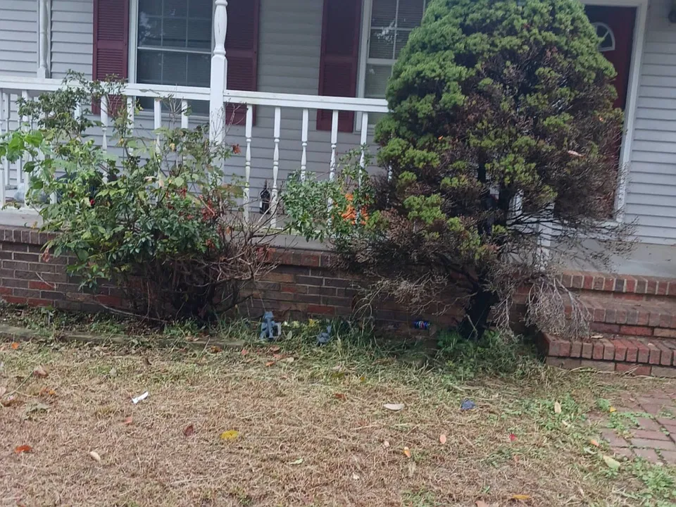 298 E Whitehall Rd