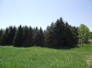 Chief Rd, Bear Lake, MI 49614