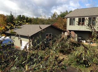 30 Boone Trl, Weaverville, NC 28787