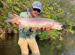 3 Wilderness Dr, Hayesville, NC 28904