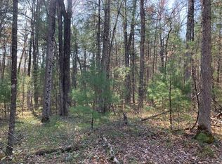 V/l S Merrilleville Rd, Baldwin, MI 49304