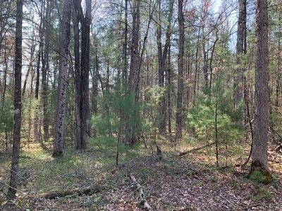 V/l S Merrilleville Rd, Baldwin, MI, 49304