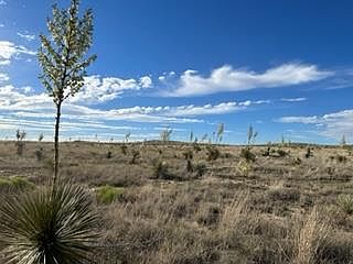 5th image of 18311 State Highway 90