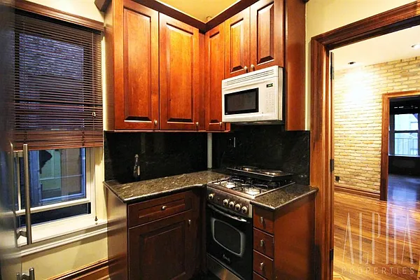 Rented by Alpha Properties NYC I LLC | media 12