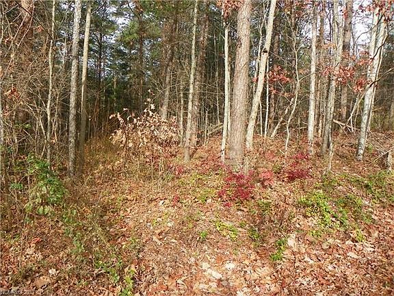 4th image of 999 Dogwood Dr #1