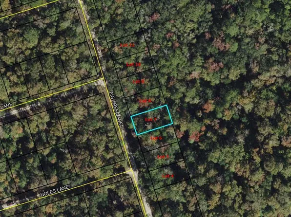 7 Fig Tree Ln, Crawfordville, FL 32327