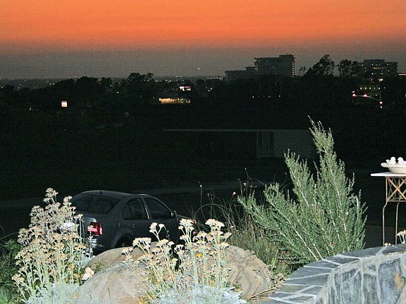 City Lights & Catalina 