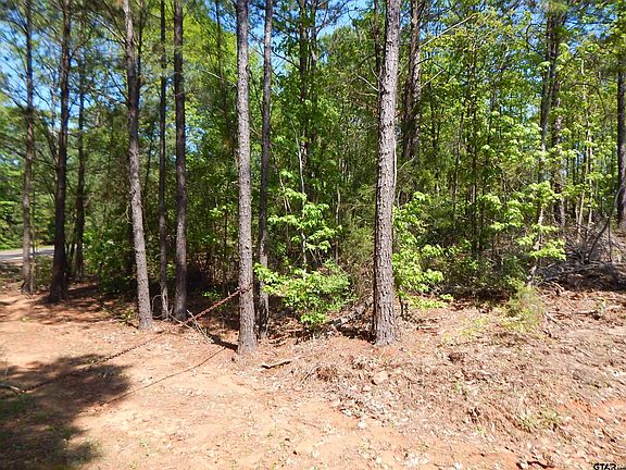 5th image of Fm 1795 Side #1