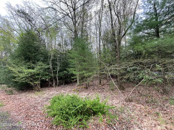 802 Dogwood Ln, Kunkletown, PA 18058