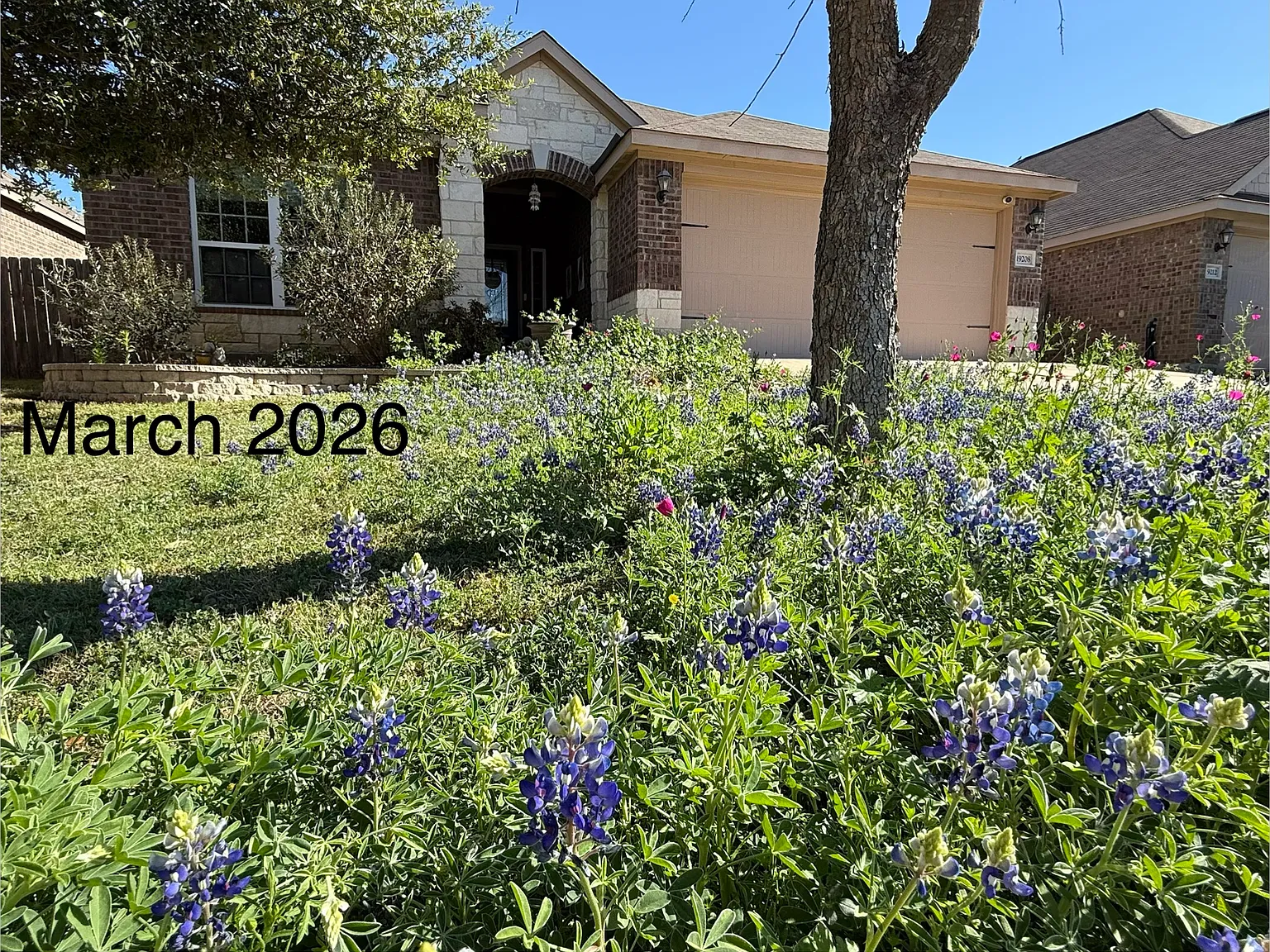 3 bed, 1363 sqft, $2,000 — Photo 2