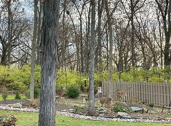 5th image of 12031 McGee Ct