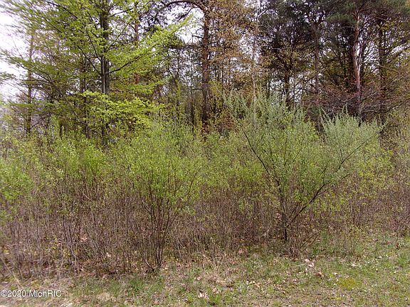 5th image of 2744 Serenity Pines Dr