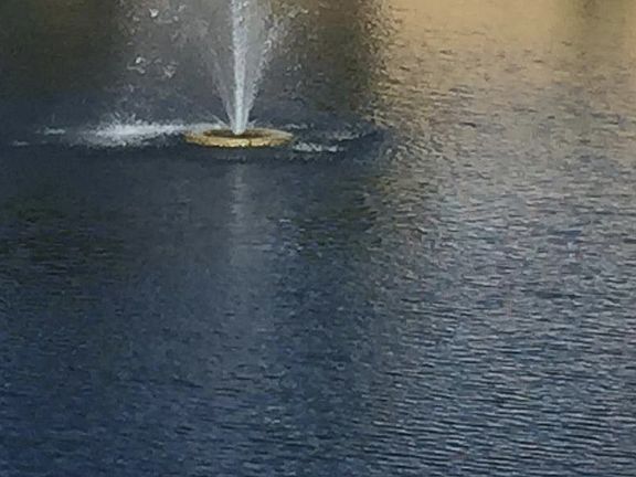 Screen Shot 2017-10-09 at 10.44.03 PM