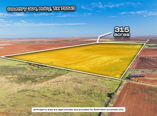 Apn 3166 Country Rd #304, Roby, TX 79543