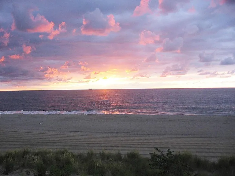 Sea Verge — Photo 12