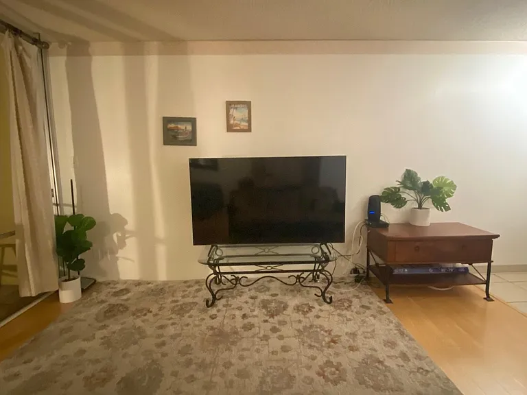 smart tv with wifi included!