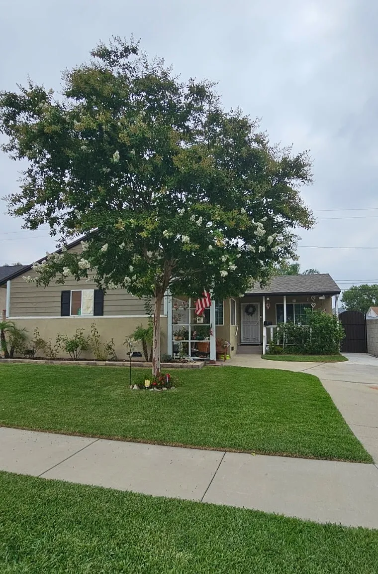3 bed, 1085 sqft, $3,200 — Photo 1
