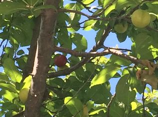 16490 Evergreen Rd, Cottonwood, CA 96022