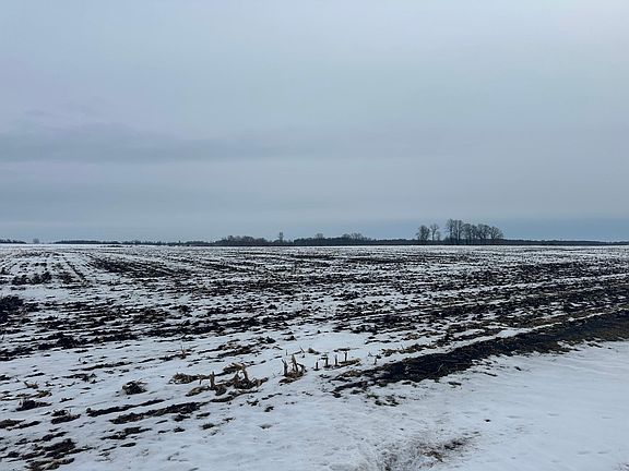 2nd image of County Road 36