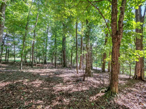 2264 Sunny Ridge Rd NE, Check, VA 24072