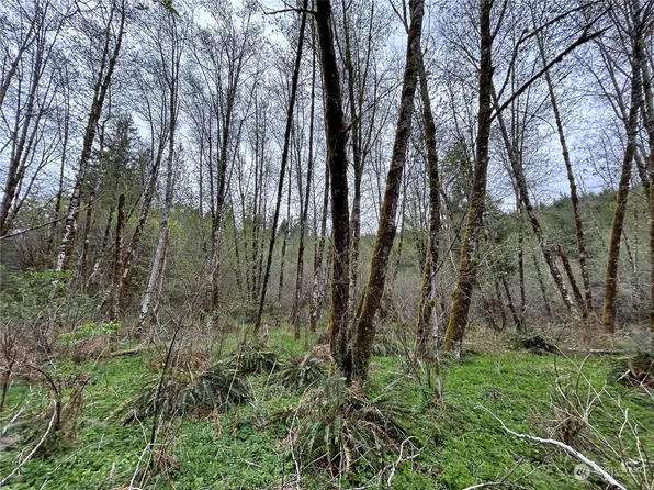 0 Lot 3 Abernathy Creek Road, Longview, WA 98632