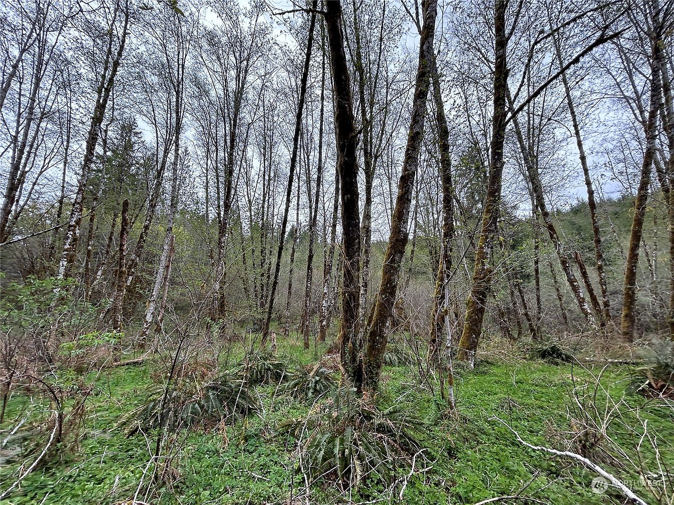1st image of 0 Lot 3 Abernathy Creek Road