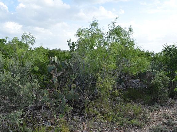 4th image of 92 Los Centenarios Rd
