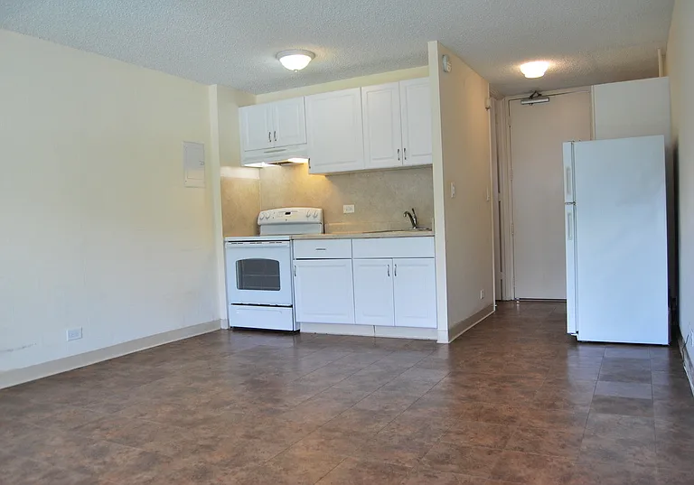1718 Anapuni St #502 — Photo 5