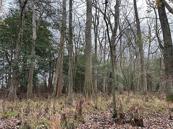 4th image of 0 Fleming Mill Rd