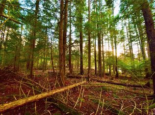 753 Cooley Rd, Parksville, NY 12768