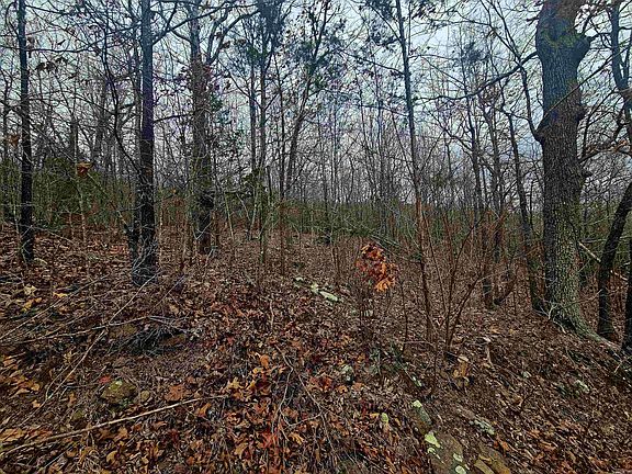 5th image of 2726 Little Red River Rd