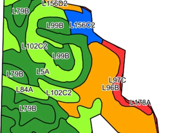 Xx County Rd #13, Storden, MN 56174