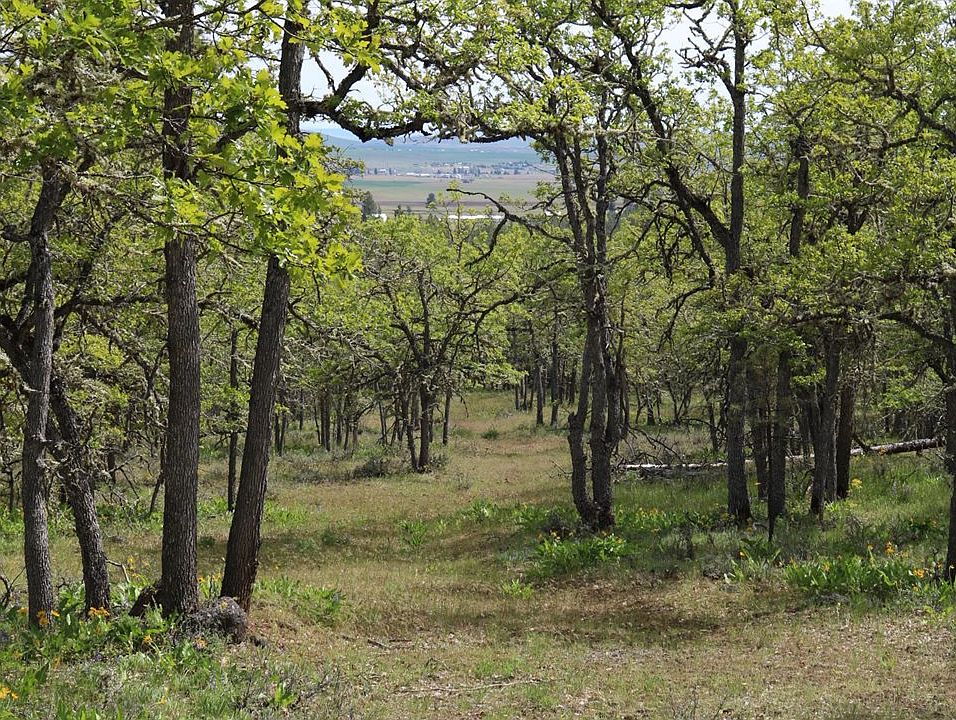 1st image of Ponderosa Park #6-131