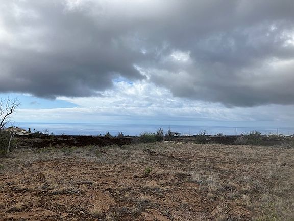 2nd image of Hibiscus Dr Lot 4